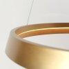 Steinhauer lights Ringlux pendant light LED gold, 1-light source