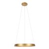 Steinhauer lights Ringlux pendant light LED gold, 1-light source