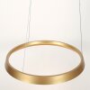 Steinhauer lights Ringlux pendant light LED gold, 1-light source