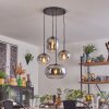 Apedo hanging light, globe light, pendant light clear, Smoke-coloured, 4-light sources