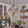 Ripoll hanging light, globe light, pendant light clear, Smoke-coloured, 4-light sources