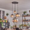 Koyoto hanging light, globe light, pendant light clear, Smoke-coloured, 4-light sources