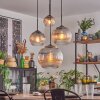 Koyoto hanging light, globe light, pendant light clear, Smoke-coloured, 4-light sources