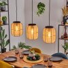 Boudou hanging light, pendant light black, 3-light sources