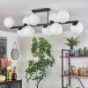 Gastor ceiling light, globe light white, 10-light sources