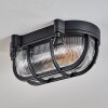 Godel outdoor ceiling light, ceiling light black, 1-light source