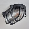 Godel outdoor ceiling light, ceiling light black, 1-light source