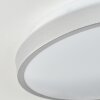 Stenaljung ceiling light, Panel LED silver, 1-light source