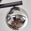 Gastor ceiling light, globe light chrome, Smoke-coloured, 10-light sources