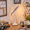 Toggerbo desk lamp, table lamp, Reading light LED white, 1-light source