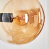 Gastor globe light, wall light, wall spotlight Amber, 1-light source