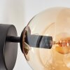 Gastor globe light, wall light, wall spotlight Amber, 1-light source