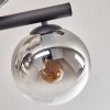 Gastor ceiling light, globe light clear, Smoke-coloured, 10-light sources