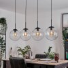 Gastor hanging light, globe light, pendant light clear, 4-light sources