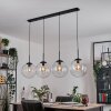 Gastor hanging light, globe light, pendant light clear, 4-light sources