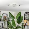 Carregueira ceiling light, Panel LED silver, white, 1-light source, Motion sensor