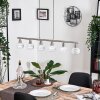 Warga hanging light, globe light, pendant light LED matt nickel, 6-light sources