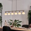 Warga hanging light, globe light, pendant light LED matt nickel, 6-light sources