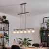 Warga hanging light, globe light, pendant light LED matt nickel, 6-light sources