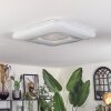 Flavlev ceiling light LED silver, white, 1-light source, Remote control