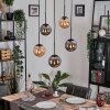 Gastor hanging light, globe light, pendant light Amber, Smoke-coloured, 5-light sources