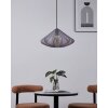 Eglo lights DOLWEN hanging light black, 1-light source