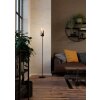 Eglo lights TOOTHILL floor lamp black, 1-light source