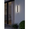 Eglo lights NEVIANO outdoor wall light LED black, 2-light sources