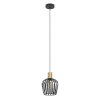 Eglo lights EMPOLI hanging light brass, black, 1-light source