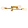 Lucide lights LESTER ceiling light gold, 4-light sources