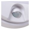 Lucide lights IR outdoor wall light LED white, 1-light source, Motion sensor