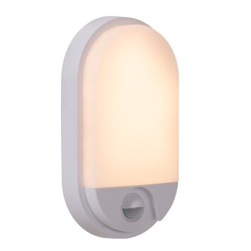 Lucide lights IR outdoor wall light LED white, 1-light source, Motion sensor