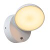 Lucide lights FINN outdoor wall light LED white, 1-light source, Motion sensor