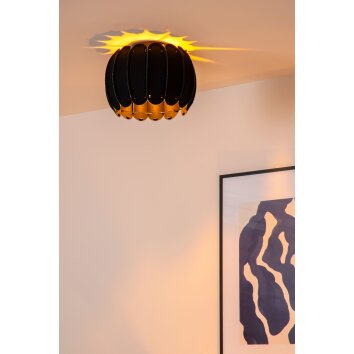 Lucide lights SPENCER ceiling light black, 1-light source