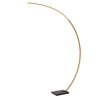 Lucide lights CURVE floor lamp LED black, 1-light source