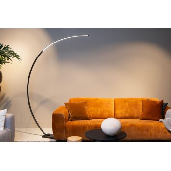 Lucide lights CURVE floor lamp LED black, 1-light source