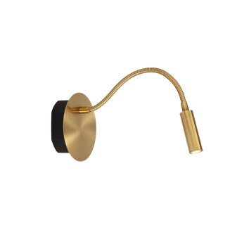 Lucide lights JOLIJN wall light LED brass, 1-light source