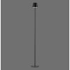 Leuchten Direkt lights EURIA floor lamp LED black, 1-light source