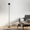 Leuchten Direkt lights EURIA floor lamp LED black, 1-light source