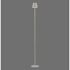 Leuchten Direkt lights EURIA floor lamp LED grey, 1-light source