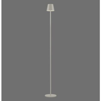 Leuchten Direkt lights EURIA floor lamp LED grey, 1-light source