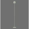 Leuchten Direkt lights EURIA floor lamp LED green, 1-light source