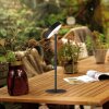 Leuchten Direkt lights AMAG table lamp LED black, 1-light source