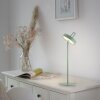 Leuchten Direkt lights AMAG table lamp LED green, 1-light source