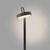 Leuchten Direkt lights AMAG floor lamp LED black, 1-light source