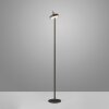 Leuchten Direkt lights AMAG floor lamp LED black, 1-light source