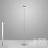 Leuchten Direkt lights AMAG floor lamp LED grey, 1-light source