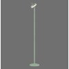 Leuchten Direkt lights AMAG floor lamp LED green, 1-light source