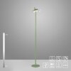 Leuchten Direkt lights AMAG floor lamp LED green, 1-light source