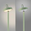 Leuchten Direkt lights AMAG floor lamp LED green, 1-light source